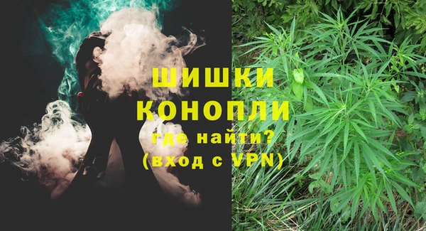 индика Каменногорск