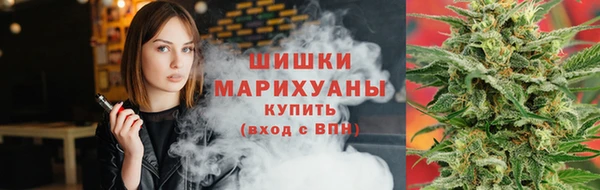 индика Каменногорск