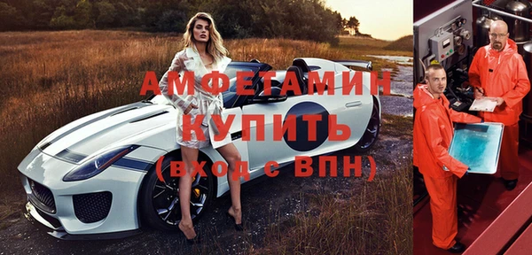 индика Каменногорск