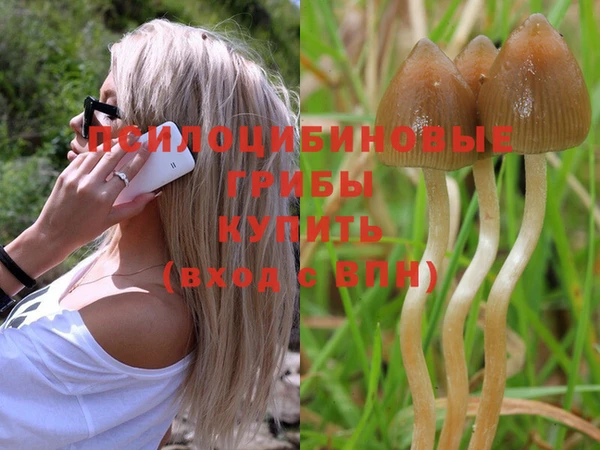 шишки Каменка