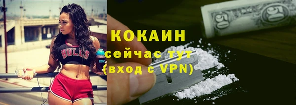 индика Каменногорск