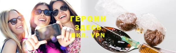 индика Каменногорск