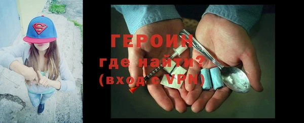 индика Каменногорск