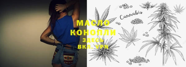 шишки Каменка