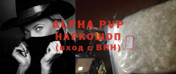 индика Каменногорск