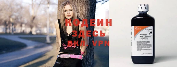 индика Каменногорск