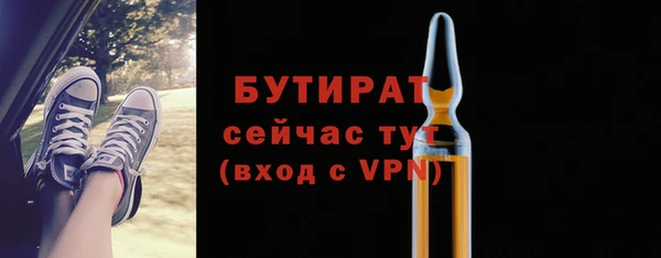 индика Каменногорск