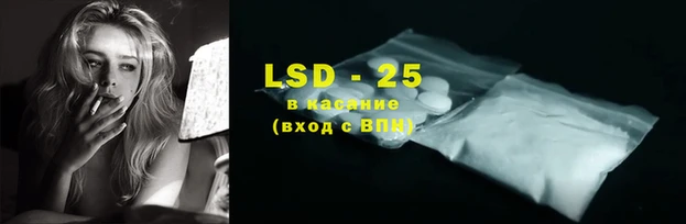 индика Каменногорск
