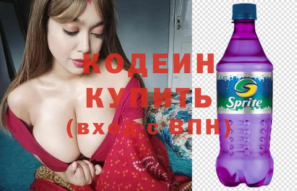 шишки Каменка
