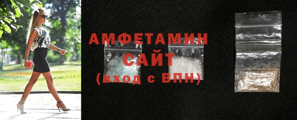 индика Каменногорск