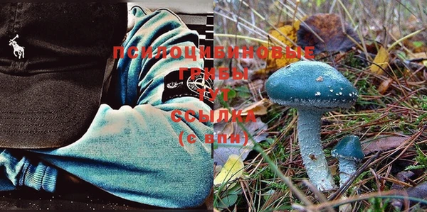 шишки Каменка