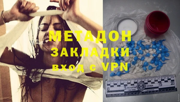 индика Каменногорск