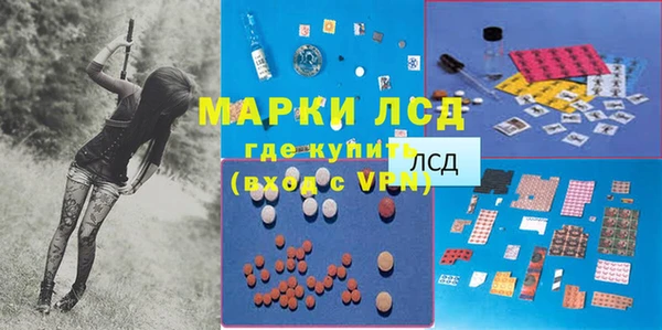 индика Каменногорск