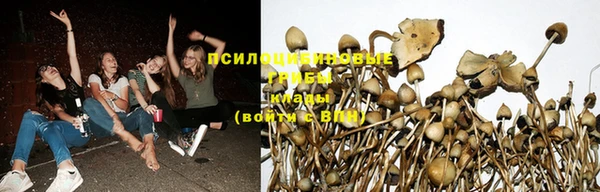 шишки Каменка