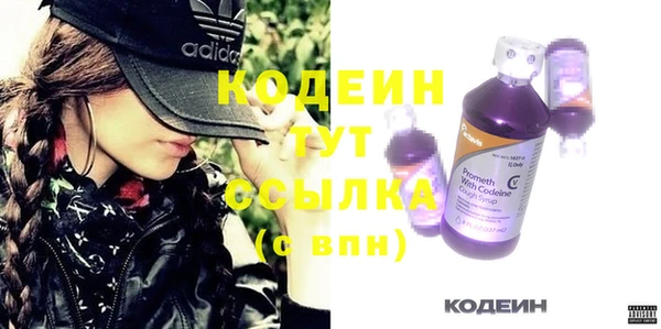 индика Каменногорск