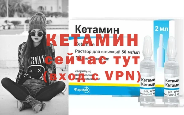 индика Каменногорск