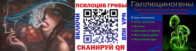 Купить закладки  Отрадный  Галлюциногенные грибы прущие грибы 